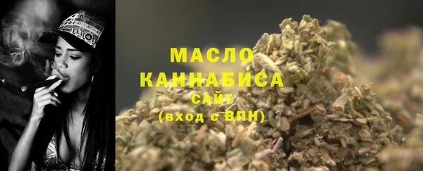 прущий лед Дмитриев