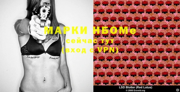молекула духа Дмитров