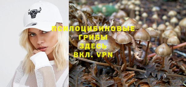 кокс Гусь-Хрустальный