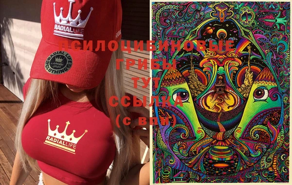 молекула духа Дмитров