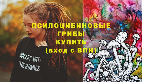 прущий лед Дмитриев