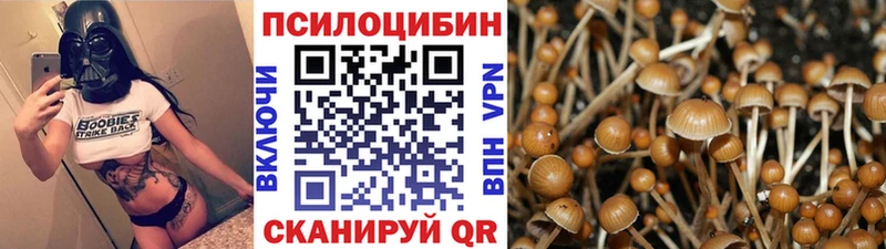 Псилоцибиновые грибы Cubensis  Купить где  Инсар 